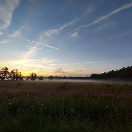 Au Coeur Des Vignes Medoc 아파트 *