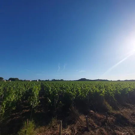 아파트 Au Coeur Des Vignes Medoc *