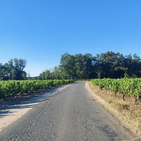 Au Coeur Des Vignes Medoc Apartment *