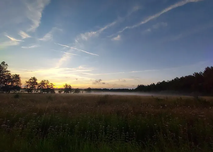 Au Coeur Des Vignes Medoc Lägenhet *