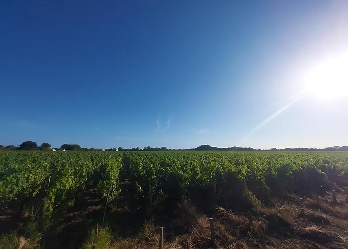 아파트 Au Coeur Des Vignes Medoc *